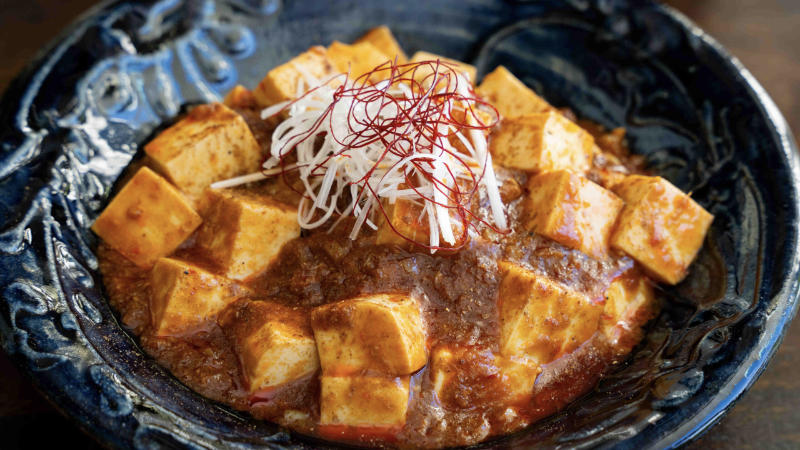 Gajimaru_food_chinese_spicy_tofu_1